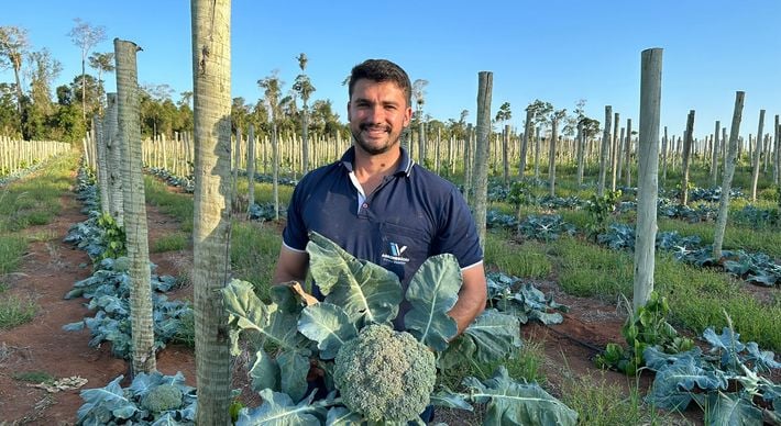 Um jovem produtor da quente cidade de Montanha inovou com o plantio da hortaliça que no Estado é produzida nas regiões mais frias e elevadas