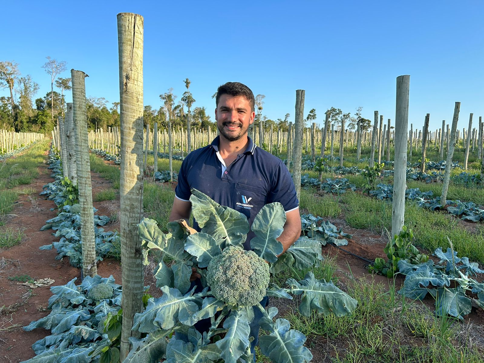 O produtor Carlos Vassoler, de 28 anos, exibe orgulhoso um exemplar de brócolis com cerca de um quilo colhido na propriedade