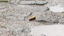 A Polícia Militar encontrou cápsulas de 9 milímetros após disparos efetuados na saída do Nook Beach Club, em Vila Velha(Eduardo Dias)