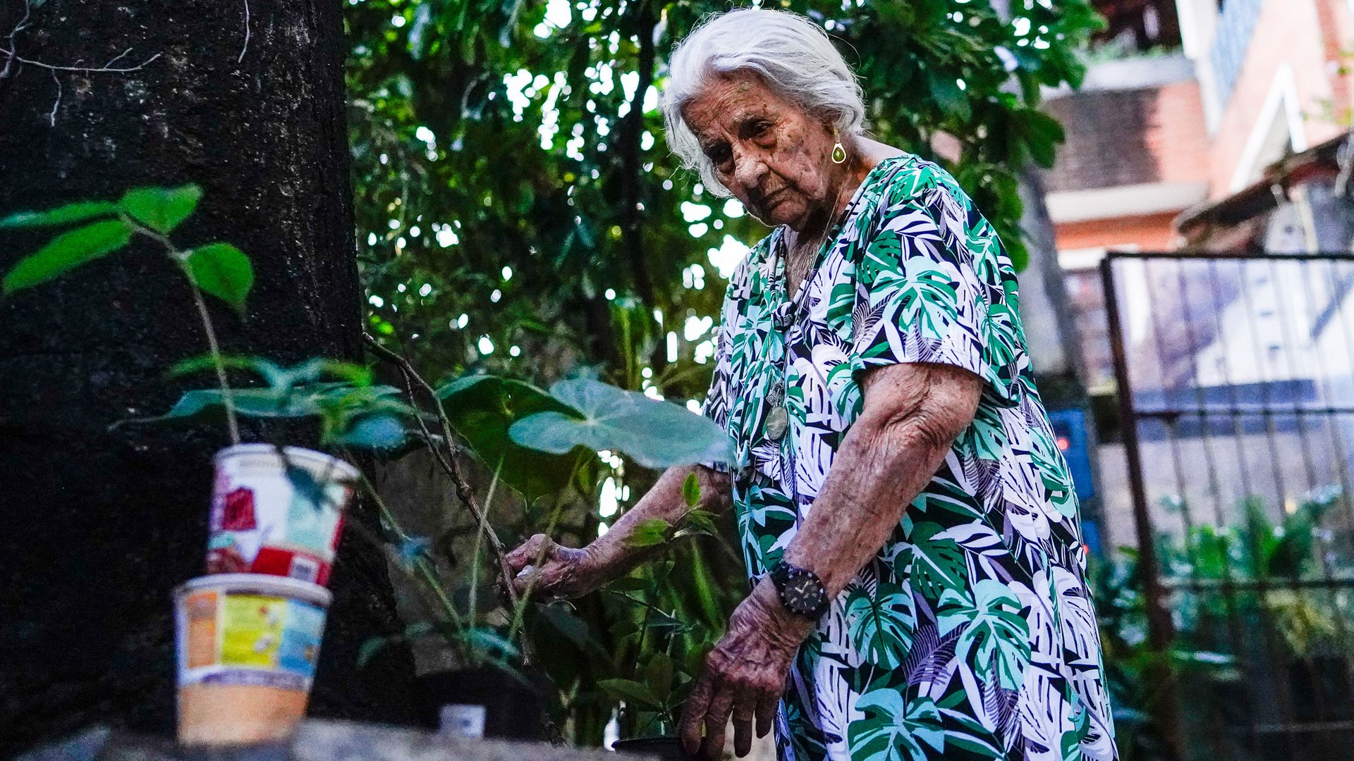 Angela Amorim, completou 100 anos. Apesar dessa idade ela é muito lúcida, sábia e com saúde. Considerada a pessoa mais velha do Bairro Jardim da Penha