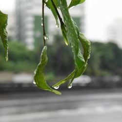 Aviso do Instituto Nacional de Meteorologia (Inmet) é de nível amarelo e prevê até 50 milímetros de chuva por dia, com baixo risco de alagamentos