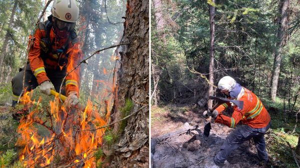 A principal atuação da equipe foi no rescaldo dos focos de incêndio