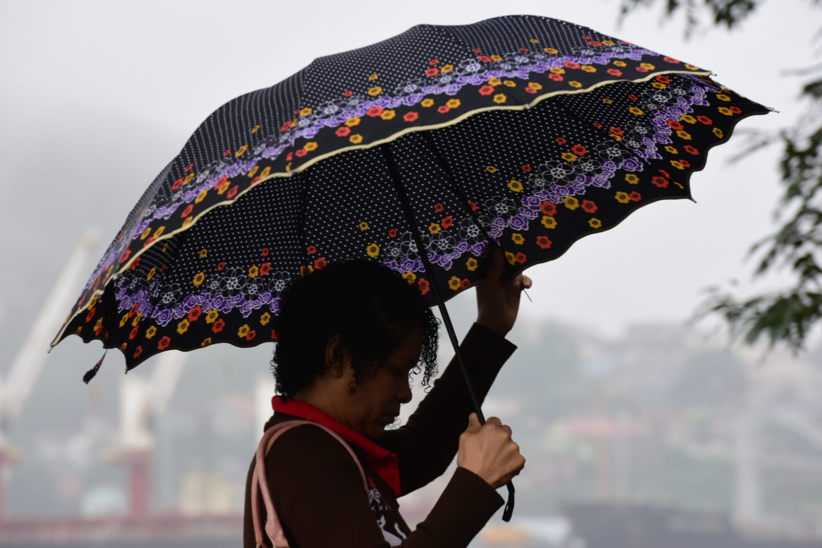 A Gazeta ES Recebe Alerta Amarelo De Chuvas Intensas Para 62 Cidades