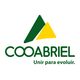 Imagem de perfil de Cooabriel