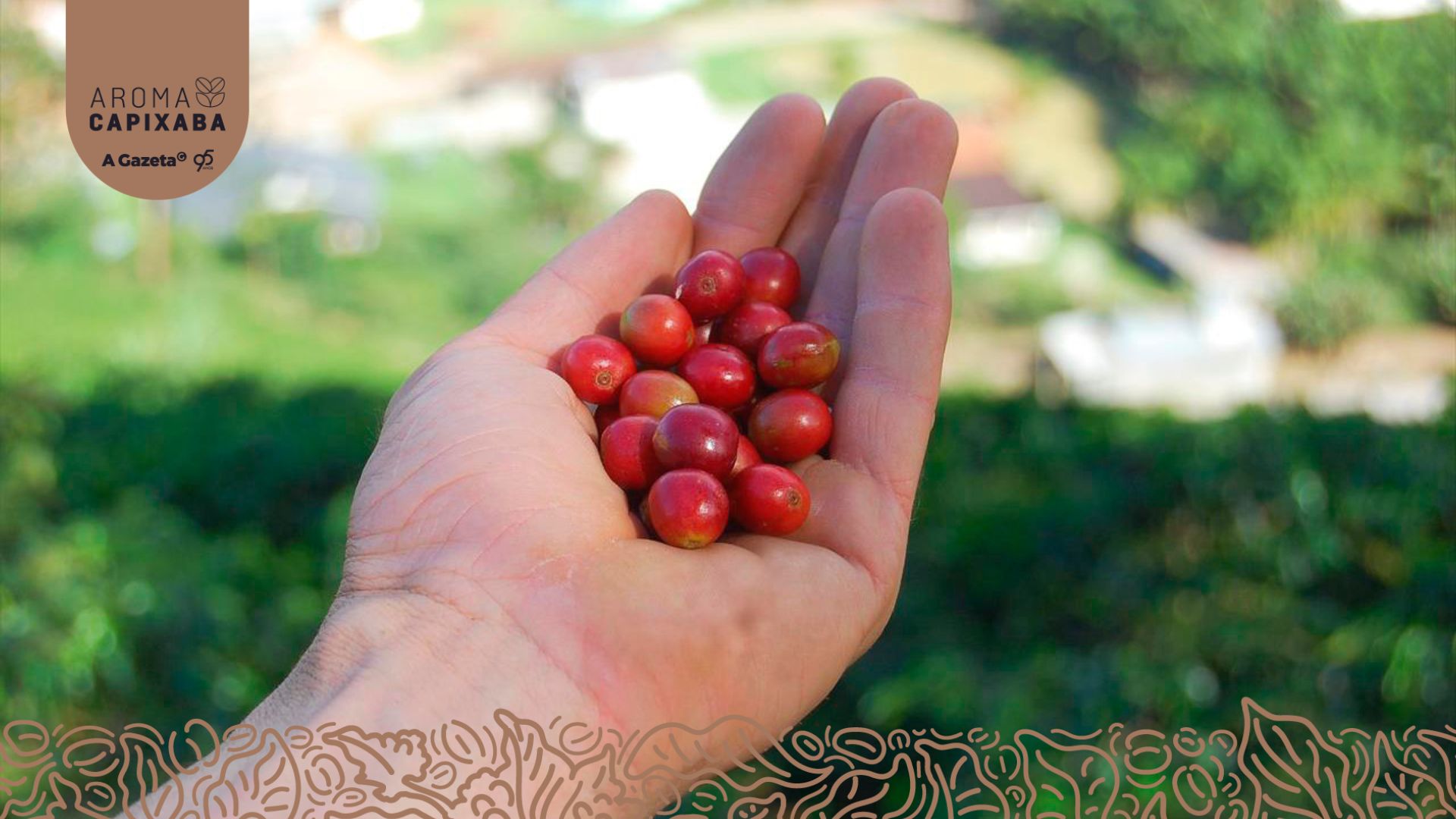 A Gazeta  Café capixaba é vendido para gigante do setor agrícola