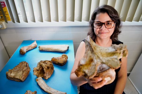 Laboratório de paleontologia da Ufes por Fernando Madeira