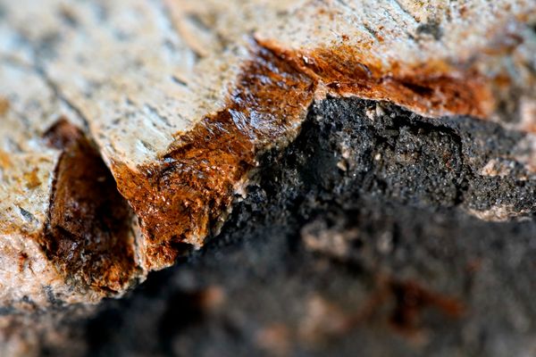 Laboratório de paleontologia da Ufes por Fernando Madeira