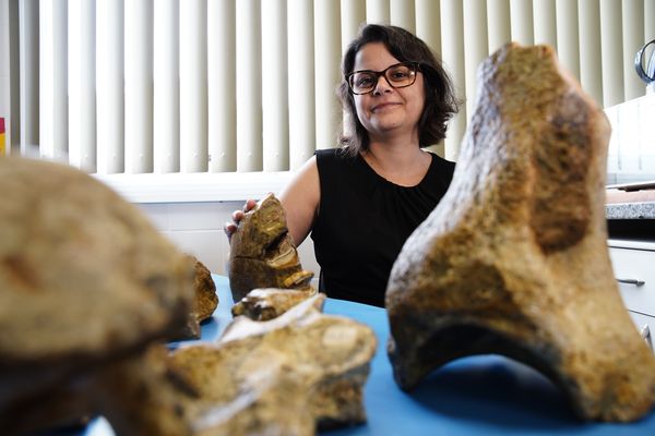 Laboratório de paleontologia da Ufes por Fernando Madeira