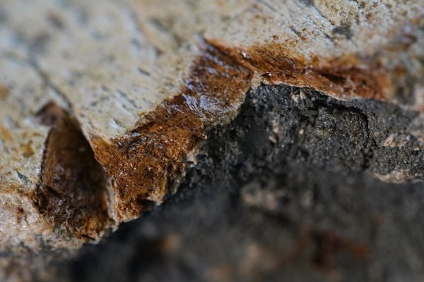 Laboratório de paleontologia da Ufes por Fernando Madeira