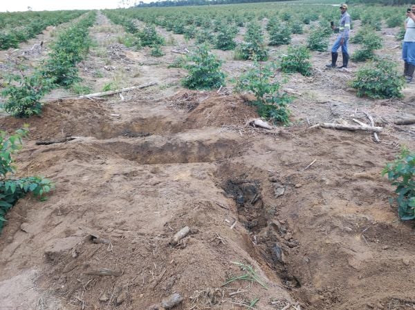 Local onde foram encontrados os corpos dos três adolescentes de Sooretama