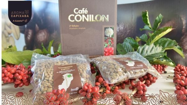 A cultura do café conillon é fonte geradora de emprego em