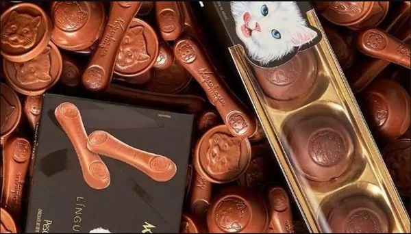 Entre os produtos mais conhecidos da Kopenhagen estão o Língua de Gato, o Nhá Benta, o Chumbinho, o Cherry Brand e o Lajotinha