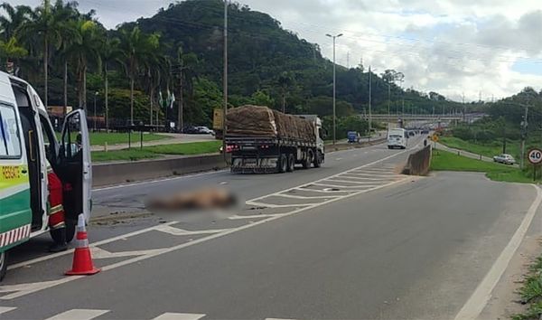 De acordo com a PRF, o animal foi atingido por uma carreta, que não permaneceu no local após o atropelamento