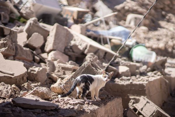 Número de vítimas deve aumentar ainda mais à medida que buscas continuam e equipes de resgate chegam a áreas remotas por Mosaab Elshamy/ AP/ Estadão Conteúdo
