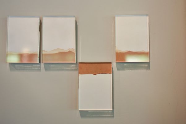 Mostra “Via Thorey - Specific” no Casa Passarin 