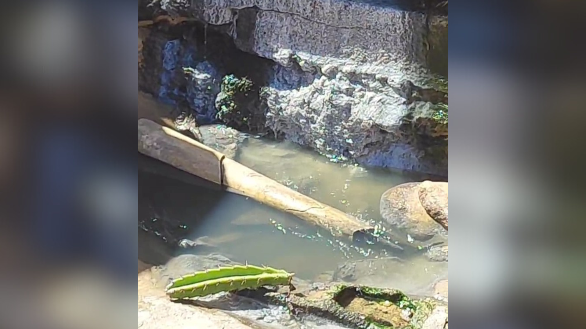 Água esverdeada descartada na Prada de Peracanga preocupa quem frequenta o local; condomínioresponsável pelo descarte afirma que água seria pluvial e que não há mais despejo