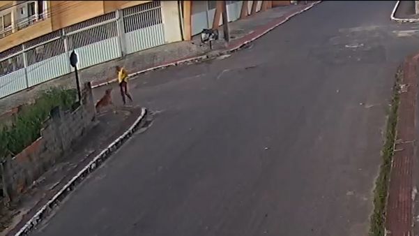Vídeo mostra o que aconteceu antes e depois do tiro disparado contra cachorro em Guarapari