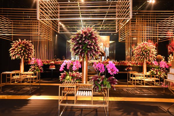 Aniversário de Aryana Torezani 