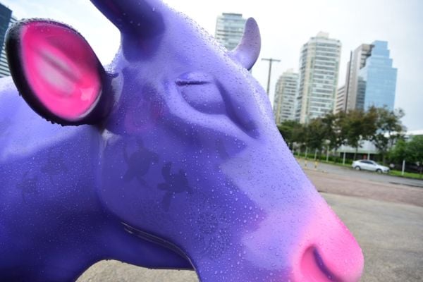 CowParade traz 62 vaquinhas espalhadas por Vitória e Vila Velha por Ricardo Medeiros