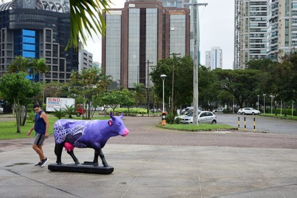 CowParade traz 62 vaquinhas espalhadas por Vitória e Vila Velha por Ricardo Medeiros