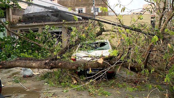 Destruição em Colatina após temporal  por Wando Fagundes