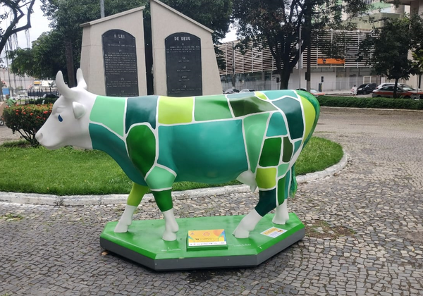 Vaca - Isabela Castello