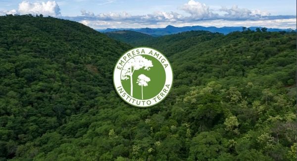 Iniciativa prevê repasse de parte dos recursos da venda de novas assinaturas para a entidade promover ações de reflorestamento