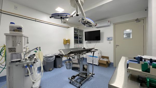 Localizado em Vila Velha, o Hospital Pet Cordis é referência em terapia intensiva e cirurgias avançadas