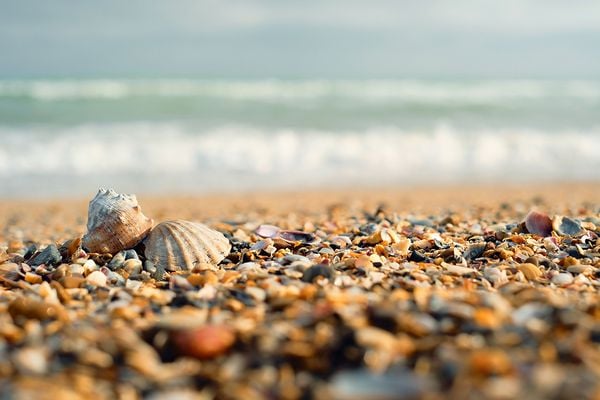 O artesanato de conchas de Piúma é famoso em todo o país