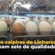 Imagem - Ovo caipira de Linhares ganha selo de qualidade e conquista o mercado