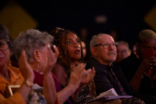 Elisa Lucinda na plateia