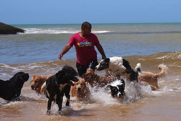 Quatro Patas Park Hotel