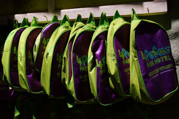 Dia de passeio para 'aumigos' da Quatro Patas Park Hotel por Fernando Madeira