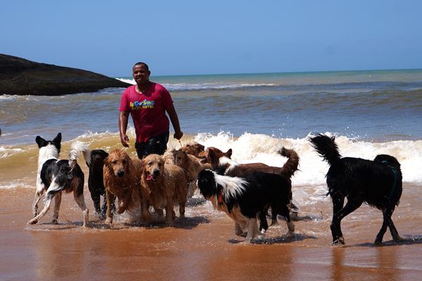 Dia de passeio para 'aumigos' da Quatro Patas Park Hotel por Fernando Madeira