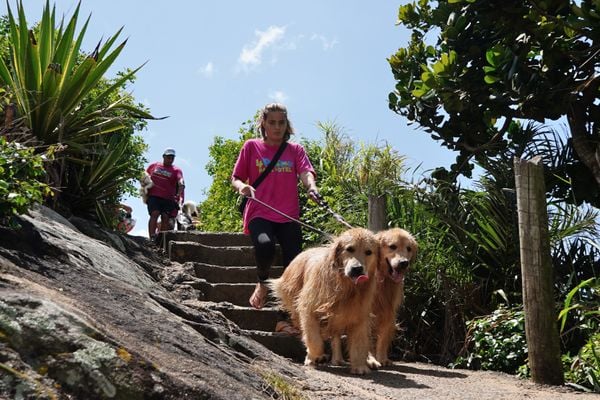 Dia de passeio para 'aumigos' da Quatro Patas Park Hotel por Fernando Madeira