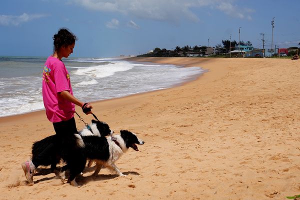 Dia de passeio para 'aumigos' da Quatro Patas Park Hotel por Fernando Madeira