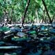 Especial Mangue - Lixo em manguezal do Parque da Manteigueira em VV