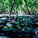 Especial Mangue - Lixo em manguezal do Parque da Manteigueira em VV