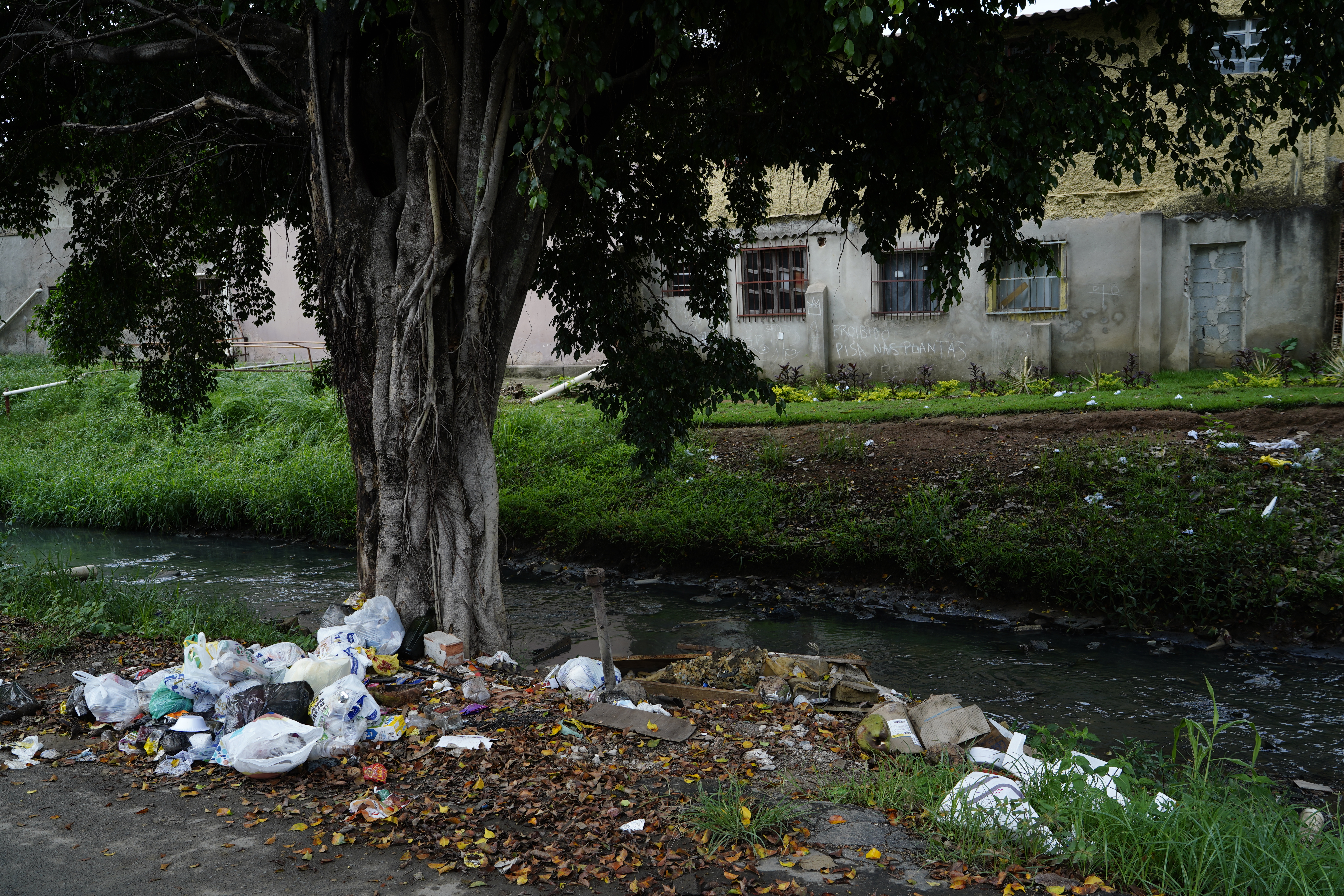 Especial Mangue - Lixo ao longo do Canal de Aribiri que vai parar em mangue do Parque da Manteigueira