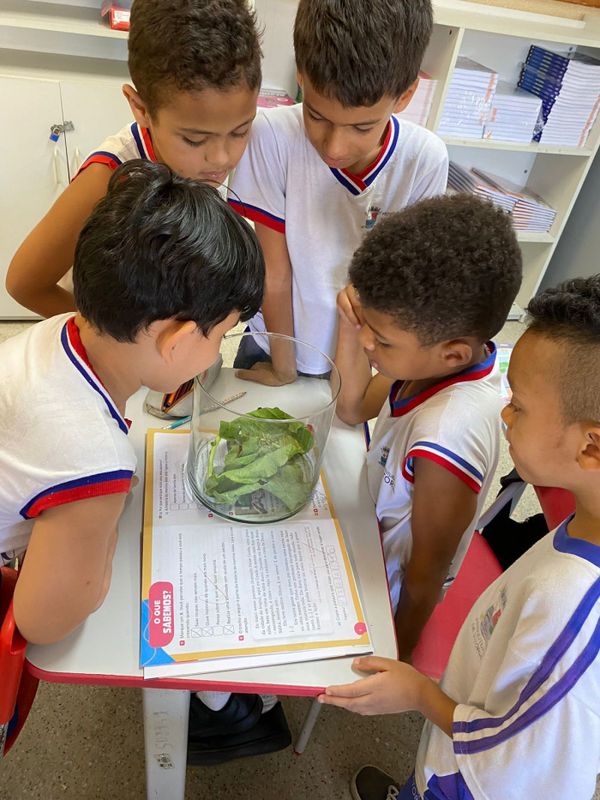 Estudantes do tempo integral observam metamorfose das borboletas