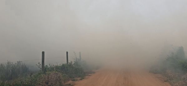 Fazendeiros fazem vigília para que fogo não atinja propriedades vizinhas em Linhares por Isaac Ribeiro
