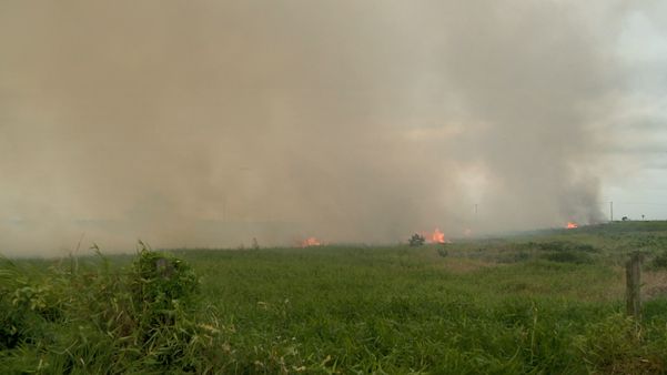 Fazendeiros fazem vigília para que fogo não atinja propriedades vizinhas em Linhares por Isaac Ribeiro