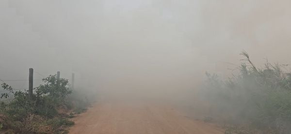 Fazendeiros fazem vigília para que fogo não atinja propriedades vizinhas em Linhares por Isaac Ribeiro