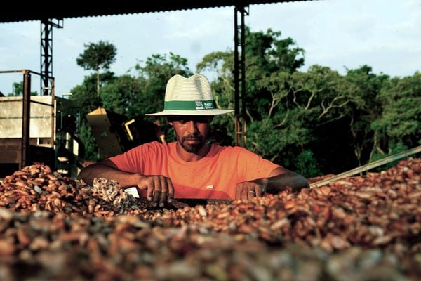 Expedição Regenera da Nestlé
