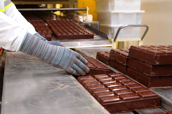 Expedição Regenera da Nestlé