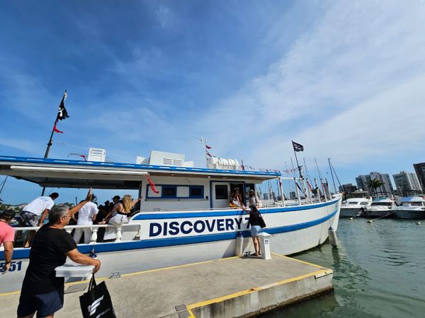 Aniversário de Suzana Finamore