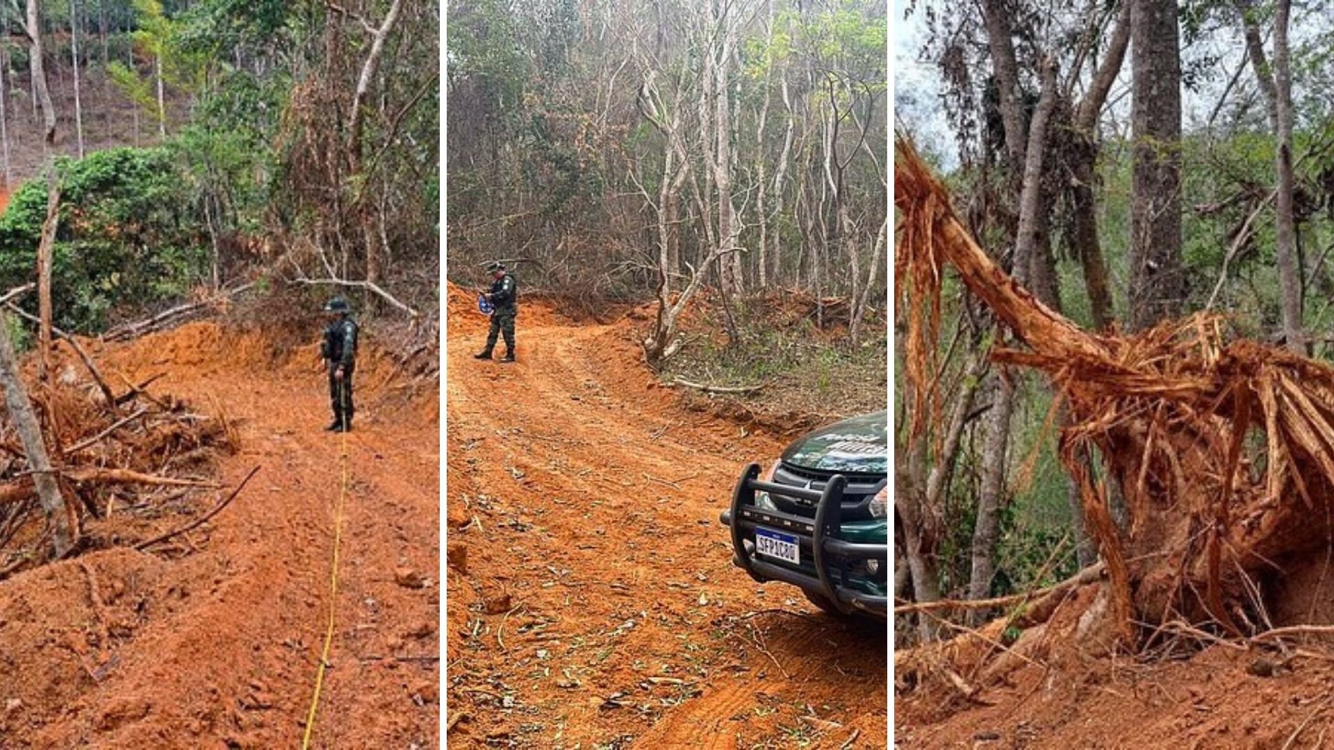 Polícia Militar Ambiental afirma que foi desmatada uma área de aproximadamente 7.206 metros quadrados de Mata Atlântica na região do Caparaó do Espírito Santo