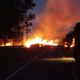 Imagem - Suzano investiga suspeita de incêndio criminoso em área da empresa no ES