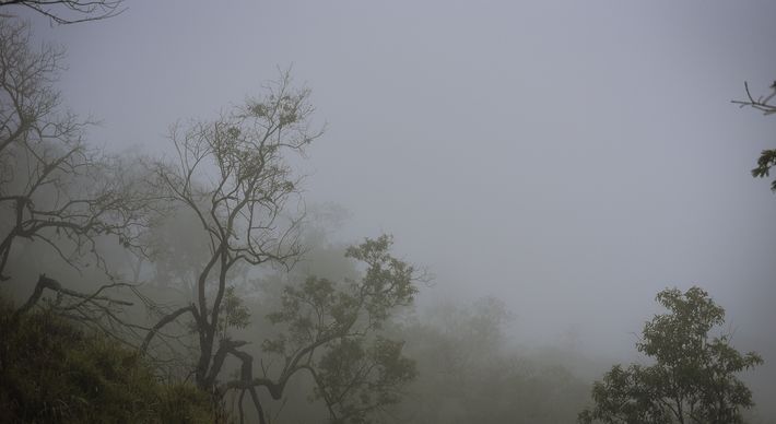 Nos próximos dias, a previsão é que o tempo continue nublado, com possibilidade de pancadas de chuva, mas temperatura deve subir