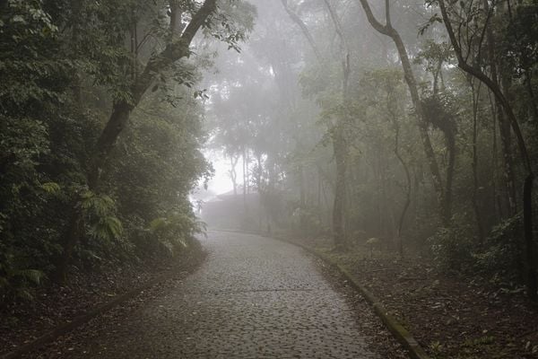 Tempo chuvoso no Parque da Fonte Grande, em Vitória